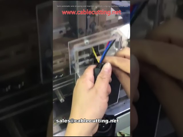 Máquina Semi-Automática de Decapagem, Inserção de Vedação e Crimpagem de Terminais WPM-5030