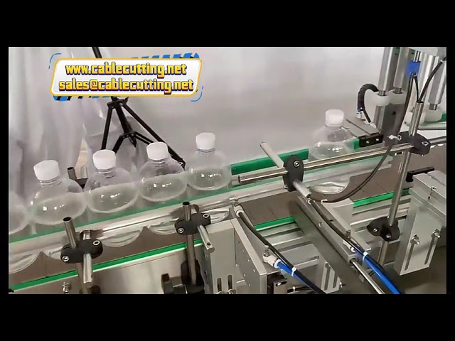 Máquina de Envase e Tampagem de Mesa 4 Cabeças para Azeite e Bebidas - Linha de Produção Compacta