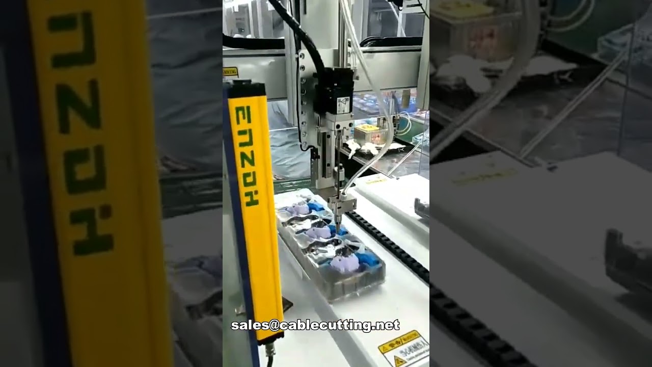 Máquina Automática de Aparafusar de Mesa para Brinquedos e Eletrônicos - WPM-4220-2Z