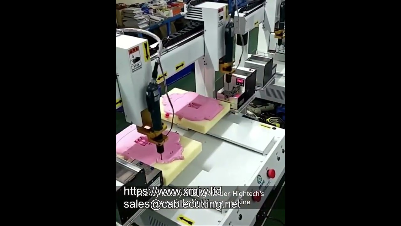 Máquina de Aparafusar Automática com Carga e Descarga por Adsorção - Direto da Fábrica