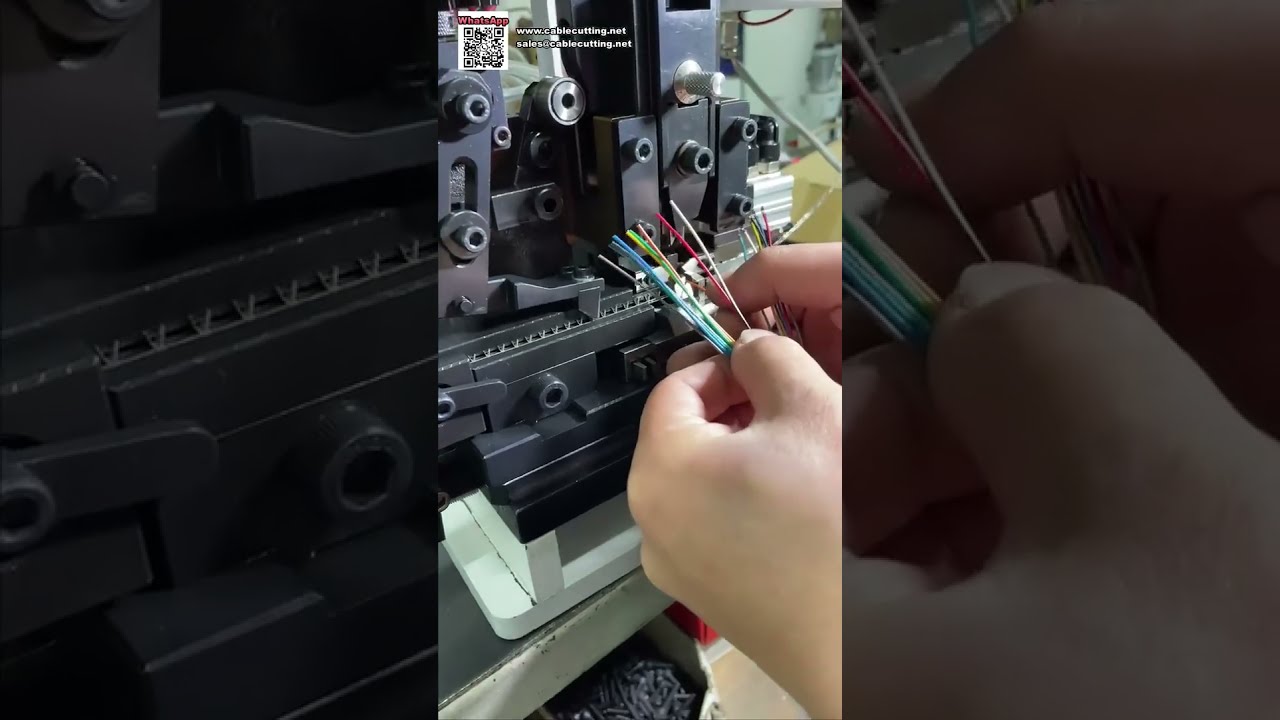 Máquina de descarnar e cravar com controlo por botões — Operação simples no painel