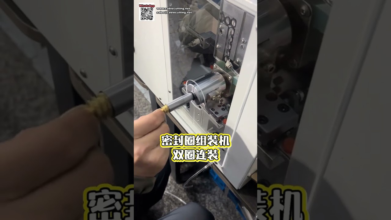 Máquina Automática de Montagem de Anéis de Vedação para Fabricação e Processamento de Máquinas
