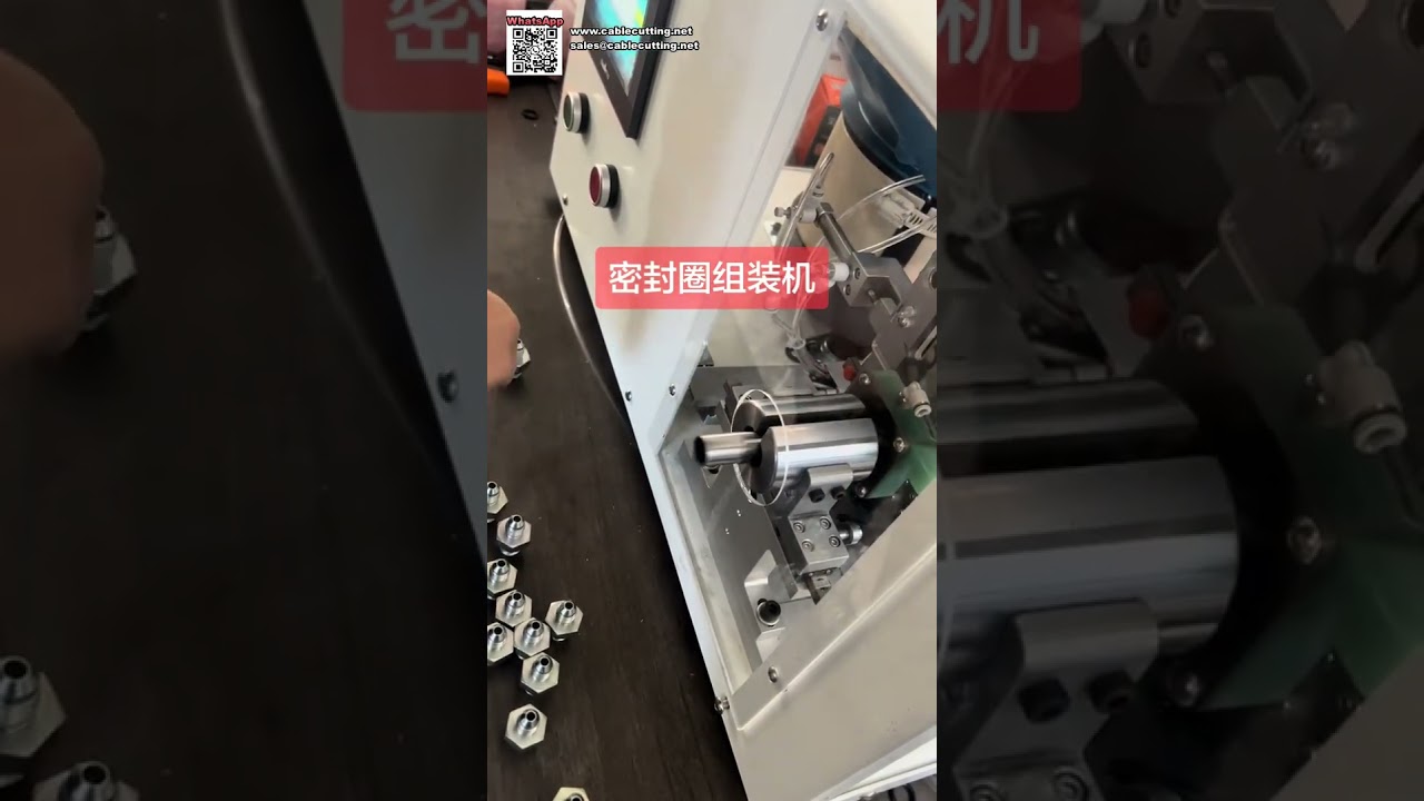 Máquina personalizada de montagem automática de juntas tóricas para oficinas de produção industrial